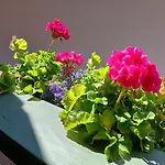 Schneiderhaeusl Inkl. Chiemgaukarte Apartman Ruhpolding