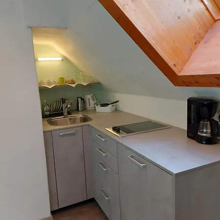 Apartment Schneiderhaeusl Inkl. Chiemgaukarte Ruhpolding